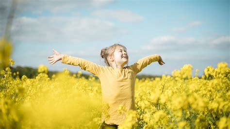  Die Frühlingssinfonie: Ein jubilierende Ode an die Natur und das Erwachen des Lebens